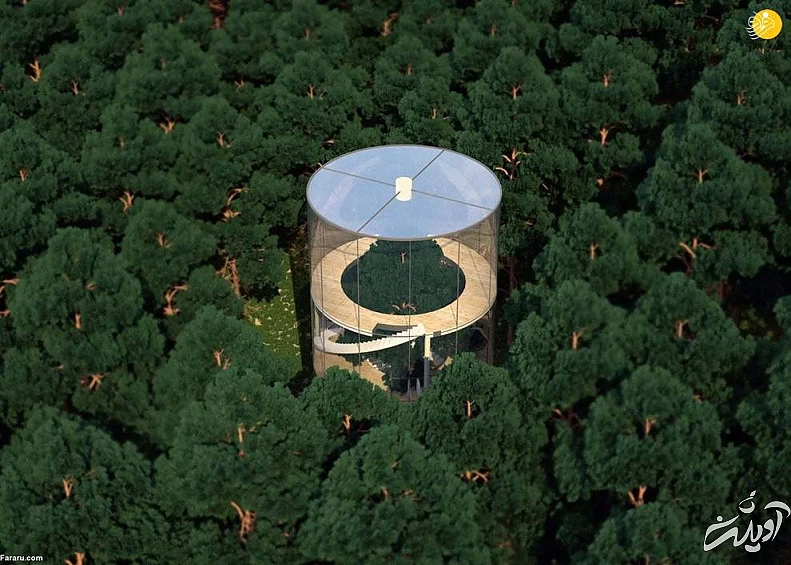 یک نوع متفاوت از خانه درختی